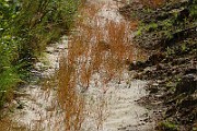IMG_6574