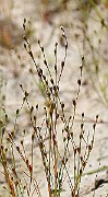 IMG_6579