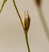IMG_6583