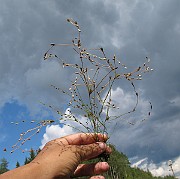 IMG_9318