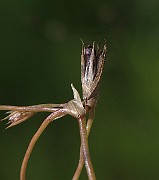 IMG_9319