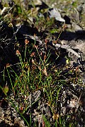 IMG_2445