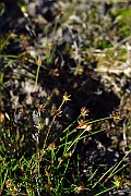 IMG_2446