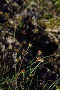 IMG_2447