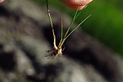 IMG_2453