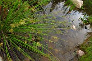 IMG_3700