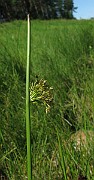 IMG_4227