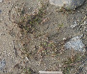 IMG_0904