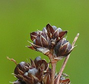 IMG_1830