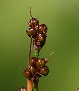 IMG_9882b