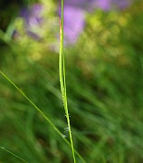 IMG_9887