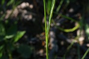 IMG_6018