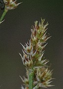 IMG_9368