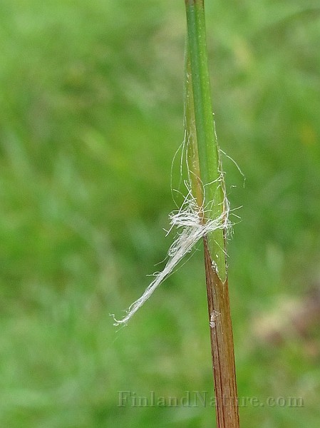 IMG_8480.JPG