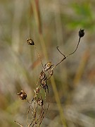 IMG_2114