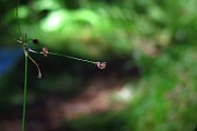 IMG_2480