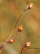 IMG_6275