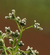 IMG_6389