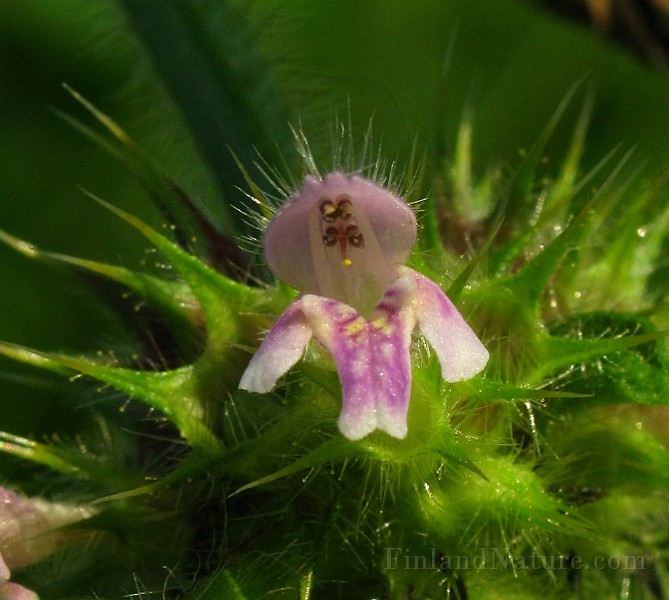 IMG_6114.jpg