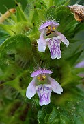 IMG_5802