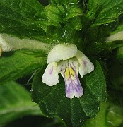 IMG_7216