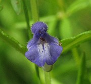 IMG_1643