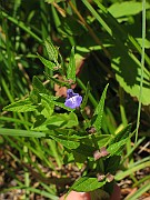 IMG_3438