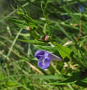 IMG_3439