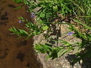 IMG_3441