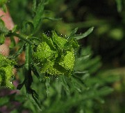 IMG_4760