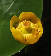 IMG_0025