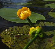 IMG_0027