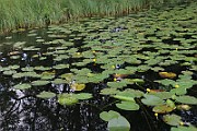 IMG_1687
