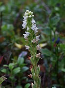 IMG_3855