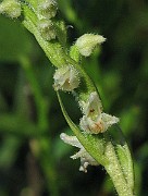 IMG_7821