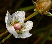 IMG_0671b