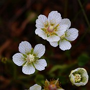 IMG_6206