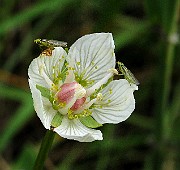 IMG_6759