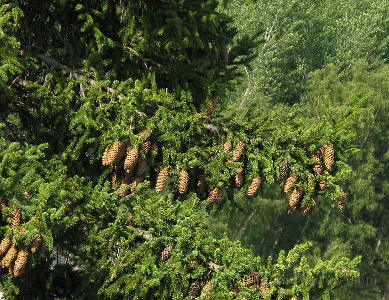 IMG_4326.jpg