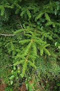 IMG_0101