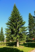 IMG_1600