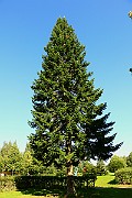 IMG_1601