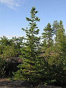 IMG_2308