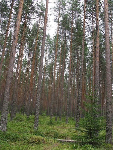 IMG_3973.jpg