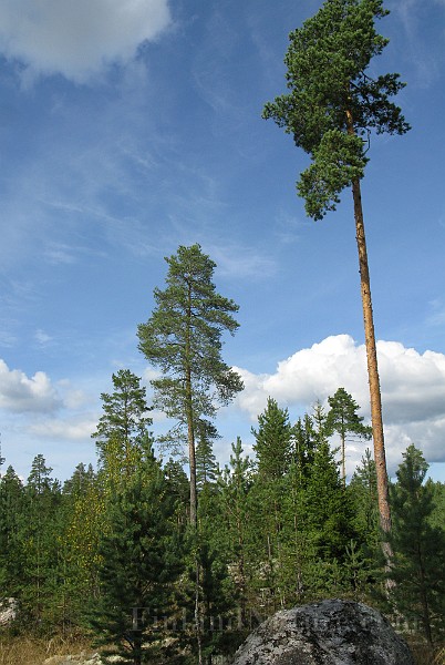 IMG_4907.jpg