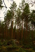 IMG_0043