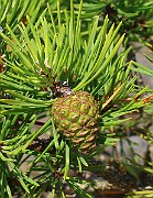 IMG_0592b