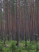 IMG_4007