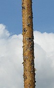 IMG_4908
