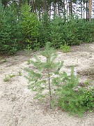 IMG_5179